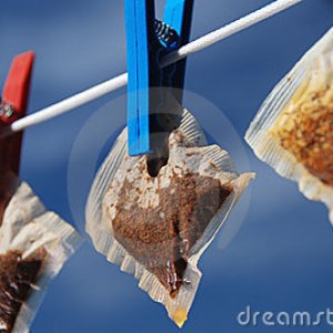 teabags-washing-line-14186096.jpg