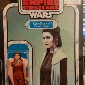 Leia Organa (Bespin Gown) ESB 31-back front.jpg