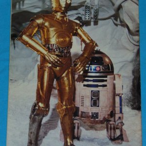 ESB Storybook - Rear.jpg