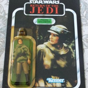 Leia Poncho MOC.JPG