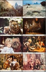 EWOK.JPG