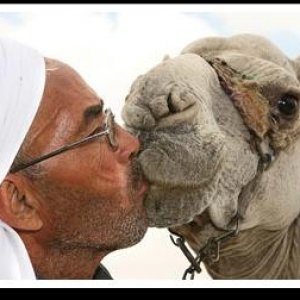 Camel smooch.JPG