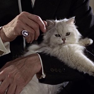 Blofeld_FRWL.jpg